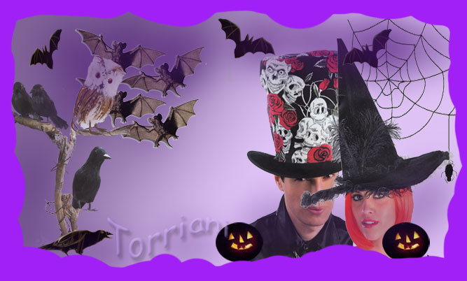 Negozio Torriani vendita accessori Halloween: gofi, corvi, cappelli teschi, cappelli strega, ragnatele, pippistrelli, zucche